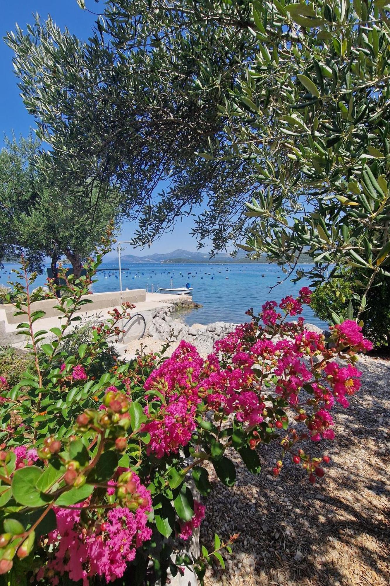 Apartments By The Sea Zuronja, Peljesac - 13202 Putnikovic Ngoại thất bức ảnh